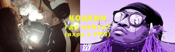 молекула духа Заводоуковск